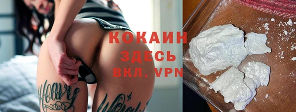 хмурый Новозыбков
