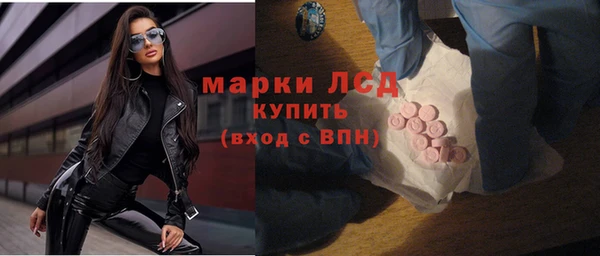 хмурый Новозыбков