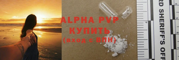 хмурый Новозыбков