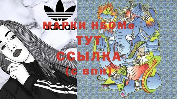 хмурый Новозыбков
