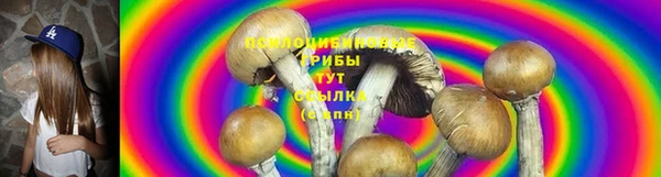 спайс Новодвинск