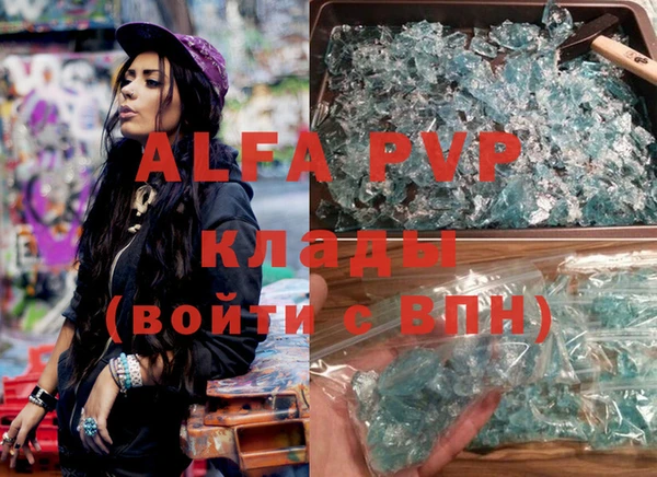 хмурый Новозыбков