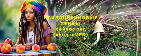 хмурый Новозыбков