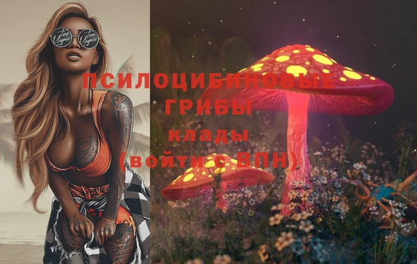 спайс Новодвинск