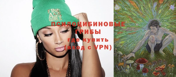 хмурый Новозыбков