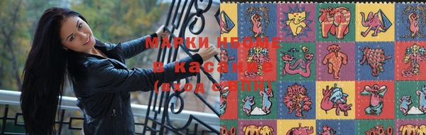 хмурый Новозыбков