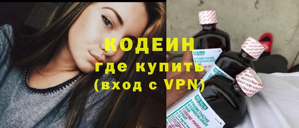 хмурый Новозыбков