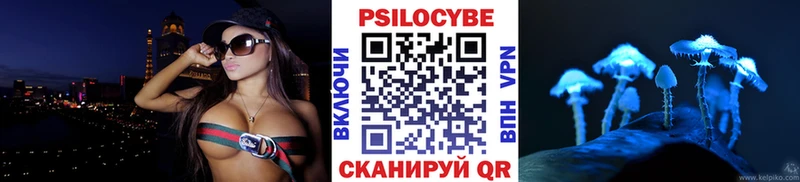 Псилоцибиновые грибы Psilocybine cubensis Купить Красково
